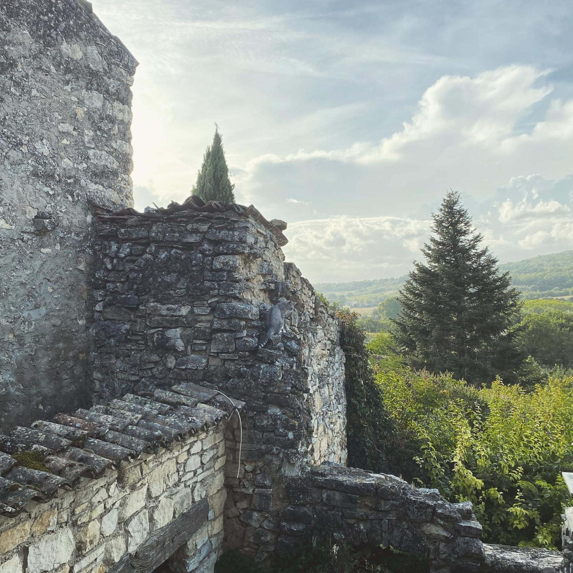 Auberge Du Boisset Saint-Martin-de-Castillon Exteriér fotografie